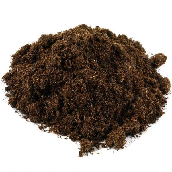 Mykorrhiza Spezial Birke, 500ml