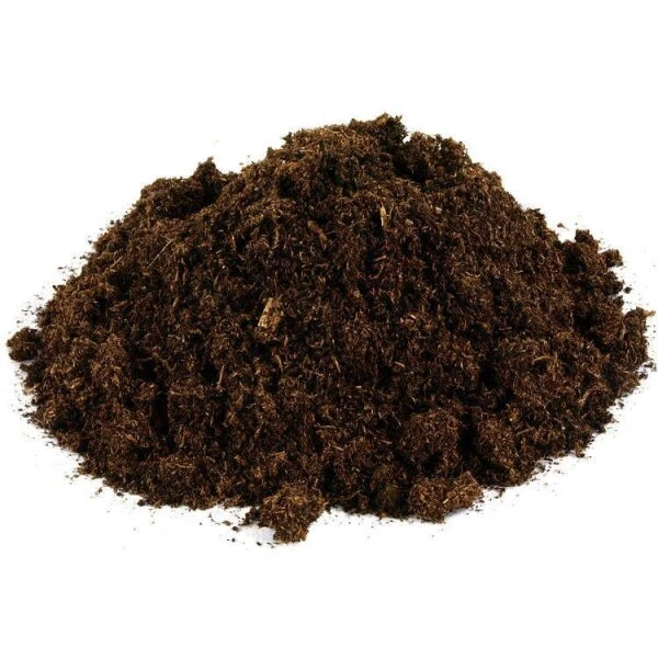 Mykorrhiza Spezial Buche, 500ml