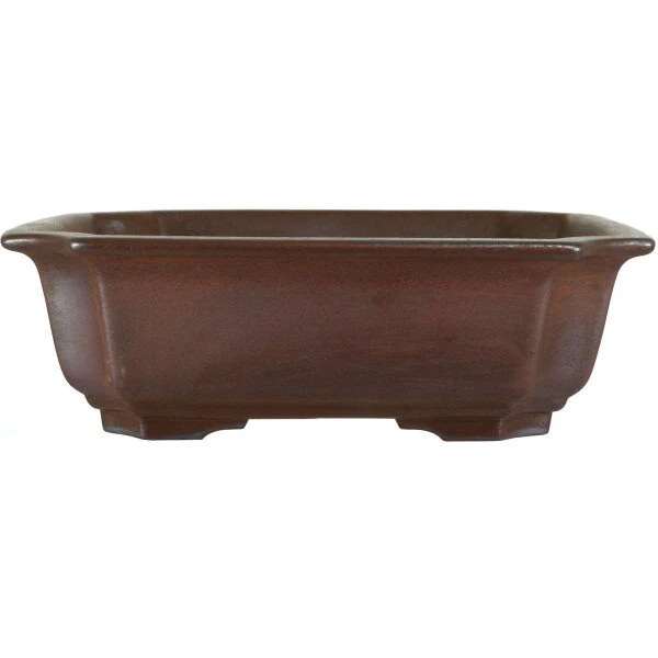 Bonsaischale 21.5x21.5x6.5cm Dunkelbraun Sonstige Form Unglasiert