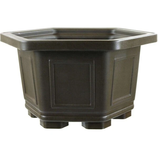 Bonsaischale 27.8x27.8x17.3cm Dunkelbraun Sechseckig Kunststoff