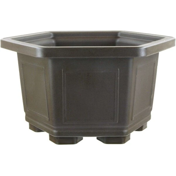 Bonsaischale 33.6x33.6x20.3cm Dunkelbraun Sechseckig Kunststoff