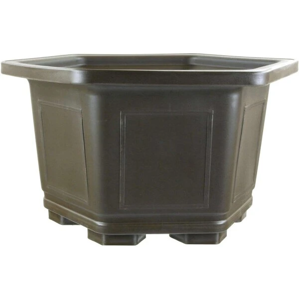 Bonsaischale 41.5x41.3x25cm Dunkelbraun Sechseckig Kunststoff